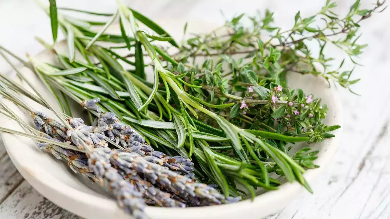 Apply rosemary water to make hair beautiful and prevent hair fall